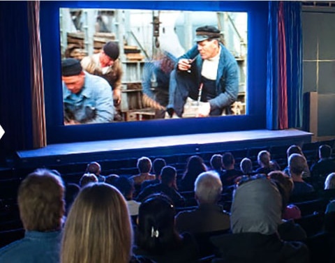 Film screening about Vasa